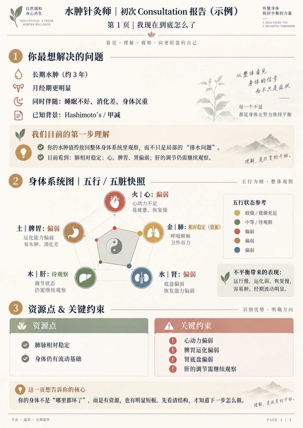 Chinese consultation example showing current concerns and a traditional Chinese medicine five-element assessment
